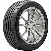 Легковые шины e.Sport RX7 купить с бесплатной доставкой в пункты выдачи в Петербурге
